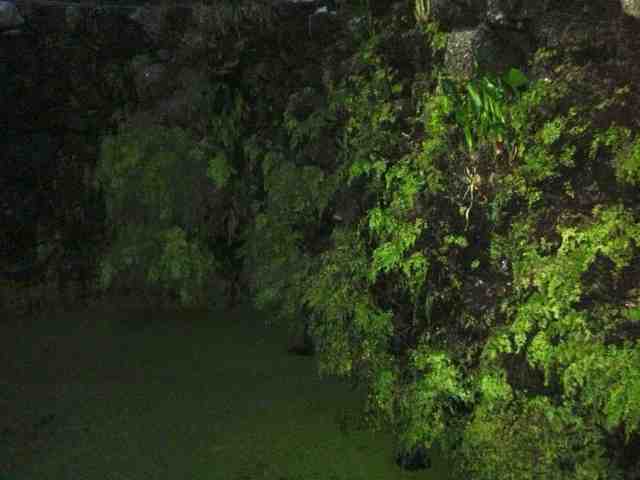 Tanquedasavencasanoite