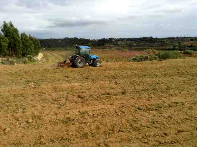 tractornatorgalha-14-03-20