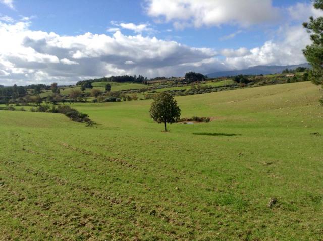 Torgalha prados passeio dezembro 2014