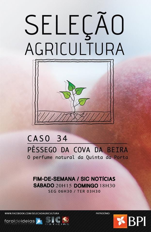 selecçao agricultura